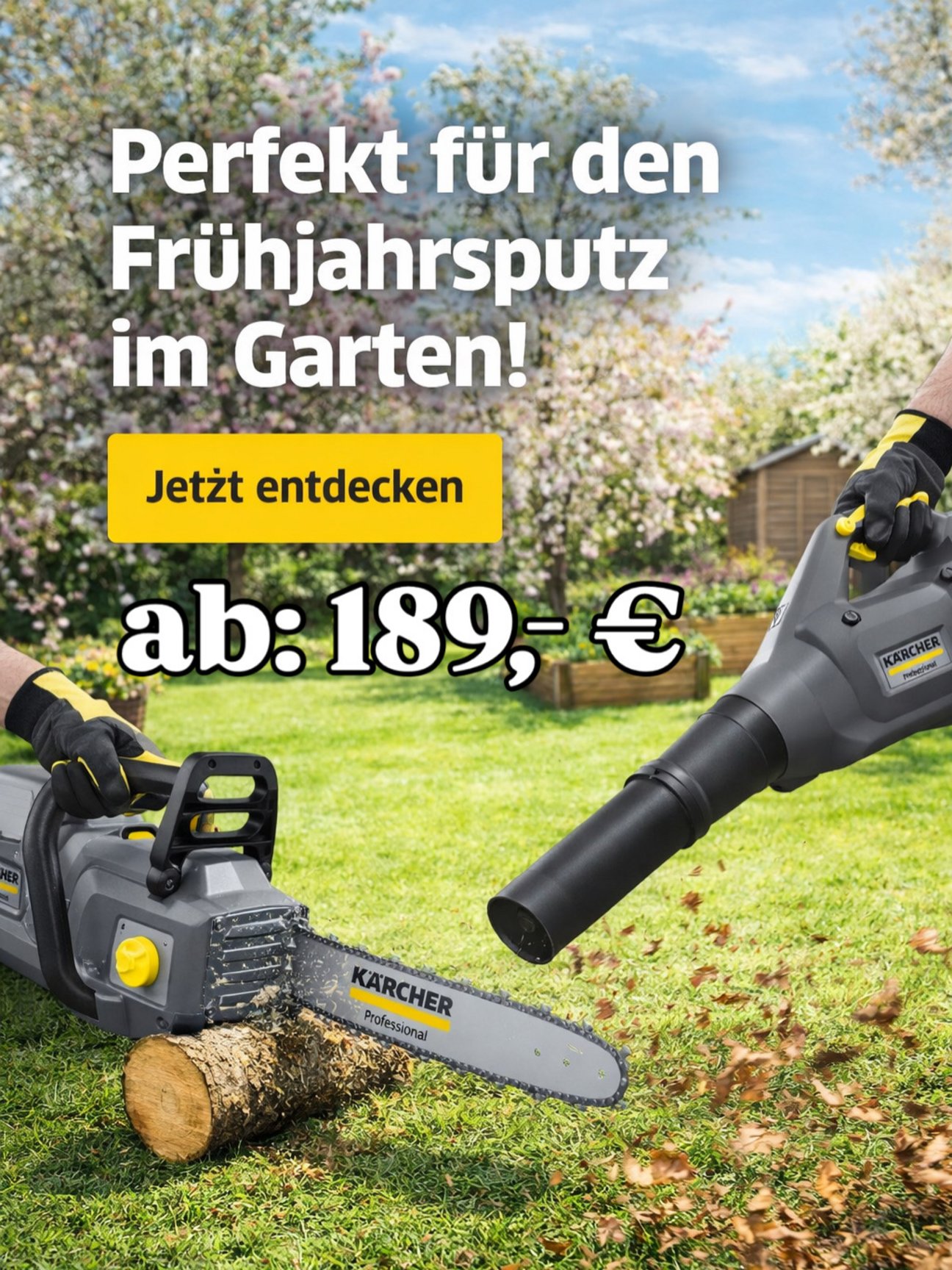 Säge_und_LB_mit_Preis